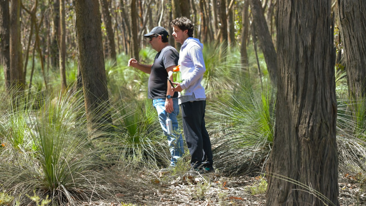 Ballarat locals search through the bush for missing mum Samantha Murphy on Saturday. 
Picture: NCA NewsWire / Ian Wilson.