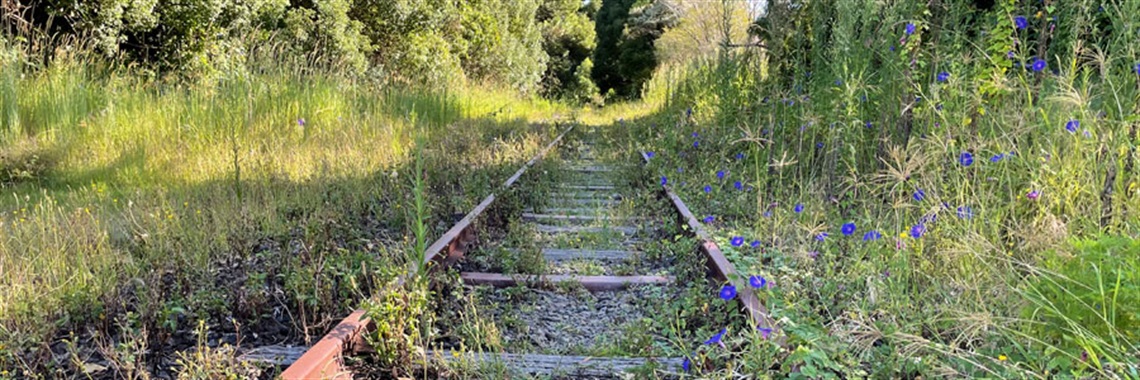 Byron Shire Rail Trail