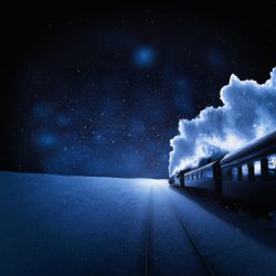 ALLRAIL: DB refuses to sell a new night train operator