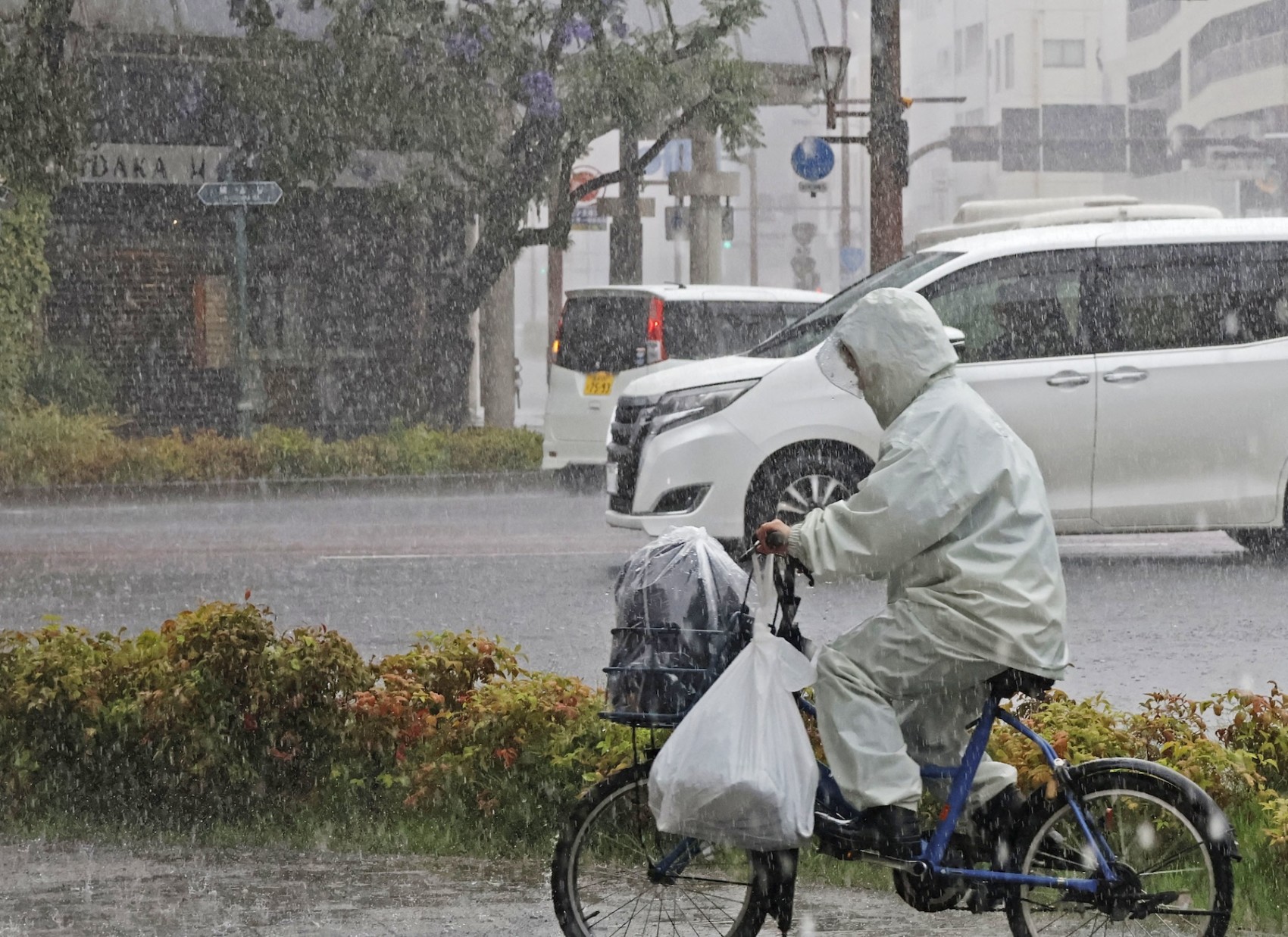 Tokyo-Osaka bullet train services may be suspended due to heavy rain